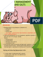 Unit IV - Care and Management of Sows and Gilts