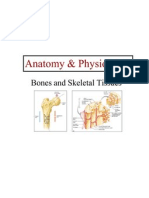 Power Point Presentation SKELETAL SYSTEM