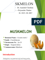 Muskmelon: Submitted To: - Dr. Aanchal Chauhan Submitted By: - Priyanshu Thakur H-2023 - 80 - BIV