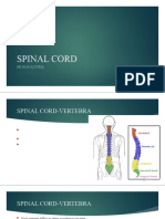 SPINAL CORD and TRACTS