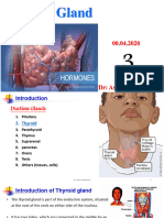 3 - Thyroid Gland