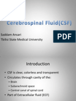 Cerebrospinal CSF