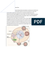 Replication of The Influenza Virus