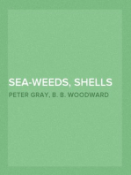 Sea-Weeds, Shells and Fossils