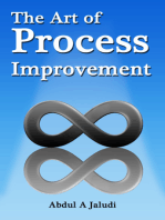 The Art of Process Improvement