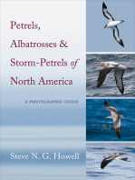 Petrels, Albatrosses, and Storm-Petrels of North America: A Photographic Guide