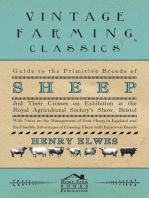 Guide To The Primitive Breeds Of Sheep And Their Crosses On Exhibition At The Royal Agricultural Society's Show, Bristol 1913: With Notes On The Management Of Park Sheep In England And The Possible Advantages Of Crossing Them With Improved Breeds