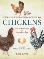 The Illustrated Guide to Chickens: How to Choose Them, How to Keep Them