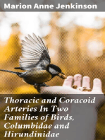 Thoracic and Coracoid Arteries In Two Families of Birds, Columbidae and Hirundinidae