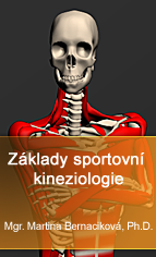 Základy sportovní kineziologie – Mgr. Martina Bernaciková, Ph.D.