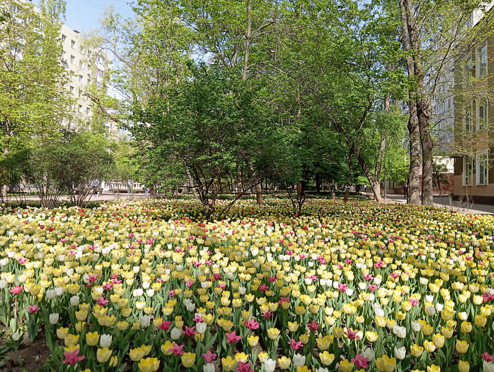 ул. Пушкинская в Ростове-на-Дону