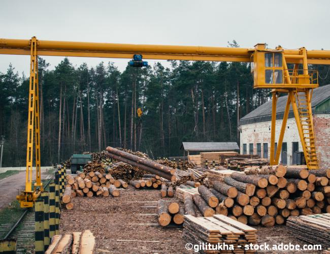 Woody biomass flows in the EU