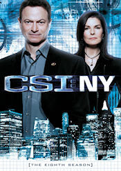 CSI: NY - The Eighth Season