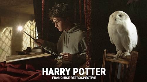 Harry Potter Franchise Retrospective