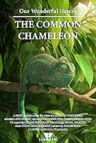 Our Wonderful Nature - The Common Chameleon (2016)