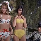 Elvis Presley, Pamela Austin, and Yvonne Craig in Kissin' Cousins (1964)