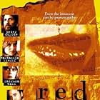 Red Letters (2000)