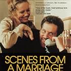 Scenes from a Marriage (1974)