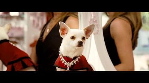 This is the second theatrical trailer for Beverly Hills Chihuahua, directed by Raja Gosnell.