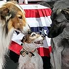 Lassie, Rin Tin Tin II, and Uggie at an event for The Artist (2011)