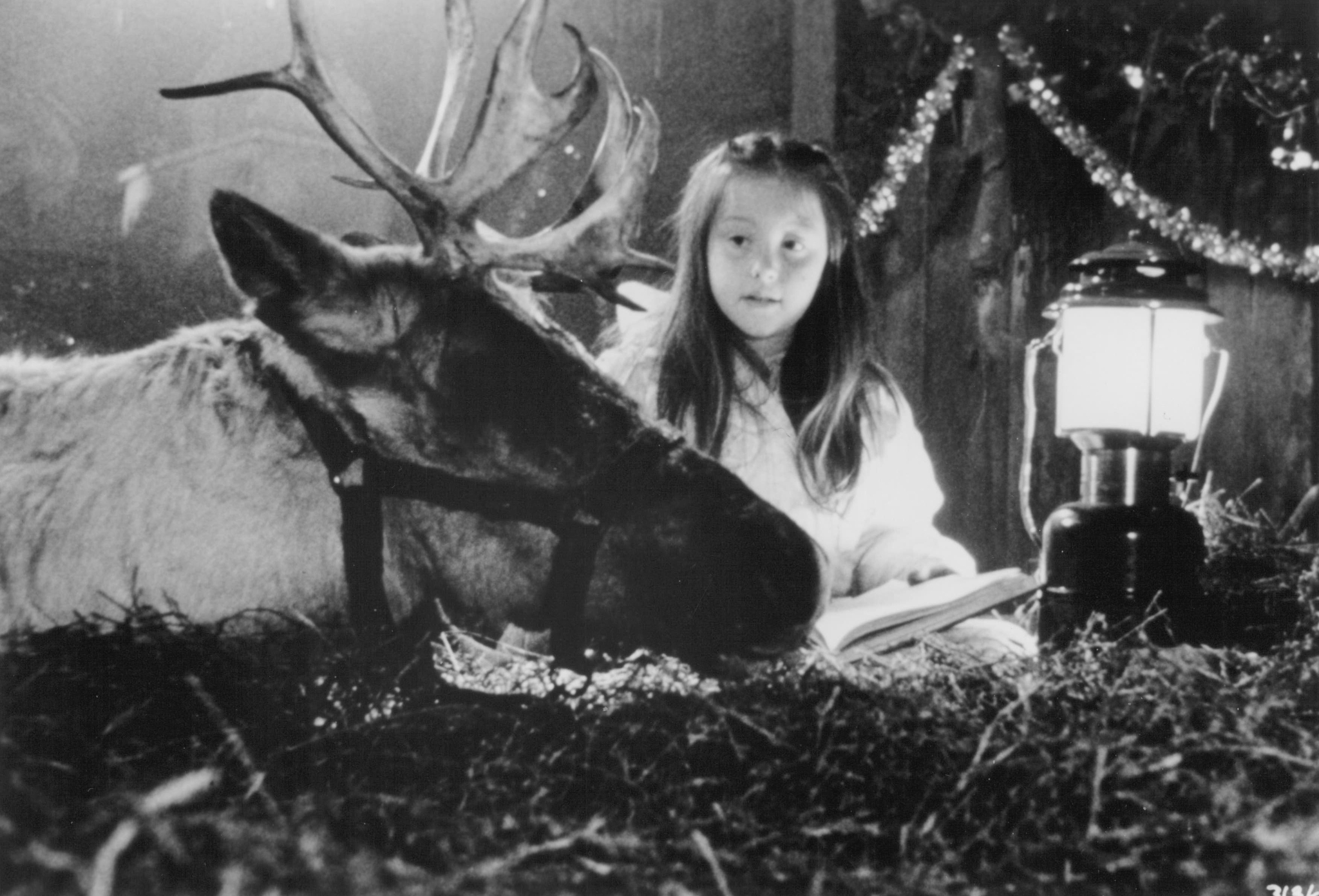 Rebecca Harrell Tickell and Boo in Prancer (1989)