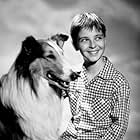 Tommy Rettig