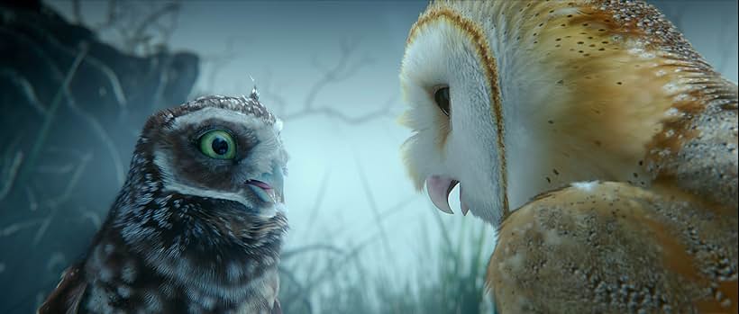 Jim Sturgess and David Wenham in Legend of the Guardians: The Owls of Ga'Hoole (2010)