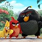 Jason Sudeikis, Danny McBride, and Josh Gad in The Angry Birds Movie (2016)