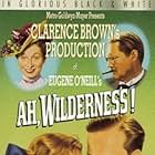 Lionel Barrymore, Wallace Beery, Mickey Rooney, Spring Byington, Eric Linden, Aline MacMahon, and Cecilia Parker in Ah Wilderness! (1935)