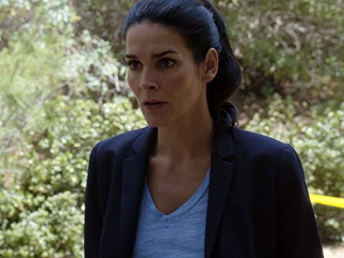 Angie Harmon in Rizzoli & Isles (2010)