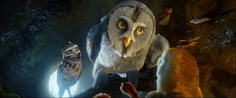 Anthony LaPaglia, Miriam Margolyes, Jim Sturgess, and David Wenham in Legend of the Guardians: The Owls of Ga'Hoole (2010)