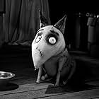 Frank Welker in Frankenweenie (2012)