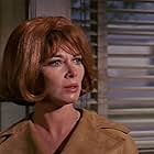 Lee Grant in In the Heat of the Night (1967)