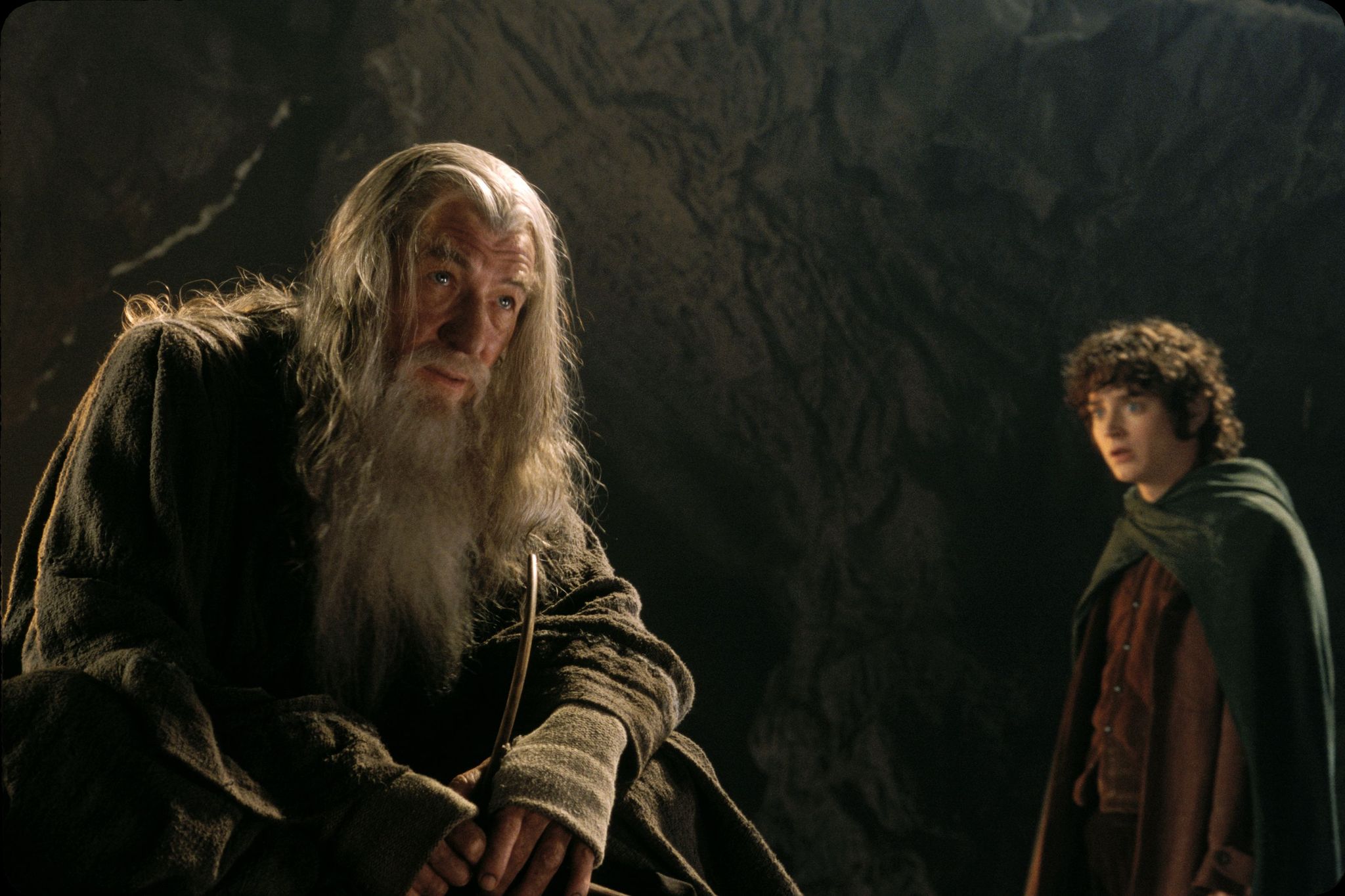 Elijah Wood and Ian McKellen in The Lord of the Rings: The Fellowship of the Ring (2001)