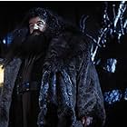 Robbie Coltrane in Harry Potter and the Sorcerer's Stone (2001)