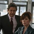 Jeff Goldblum and Parker Posey in Fay Grim (2006)