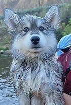 Braving Rapids