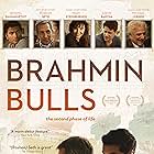 Brahmin Bulls (2013)