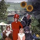 "Alice in Wonderland" S. Baio, A. Jullian, N. Gregory, T. Savalas, S. Hemsley 1985 CBS