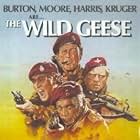 Richard Burton, Roger Moore, Richard Harris, and Hardy Krüger in The Wild Geese (1978)