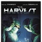 The Harvest (1993)