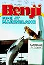 Benji Takes a Dive at Marineland (1981)