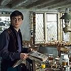 Daniel Radcliffe in Harry Potter and the Deathly Hallows: Part 1 (2010)