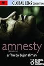 Amnesty (2011)