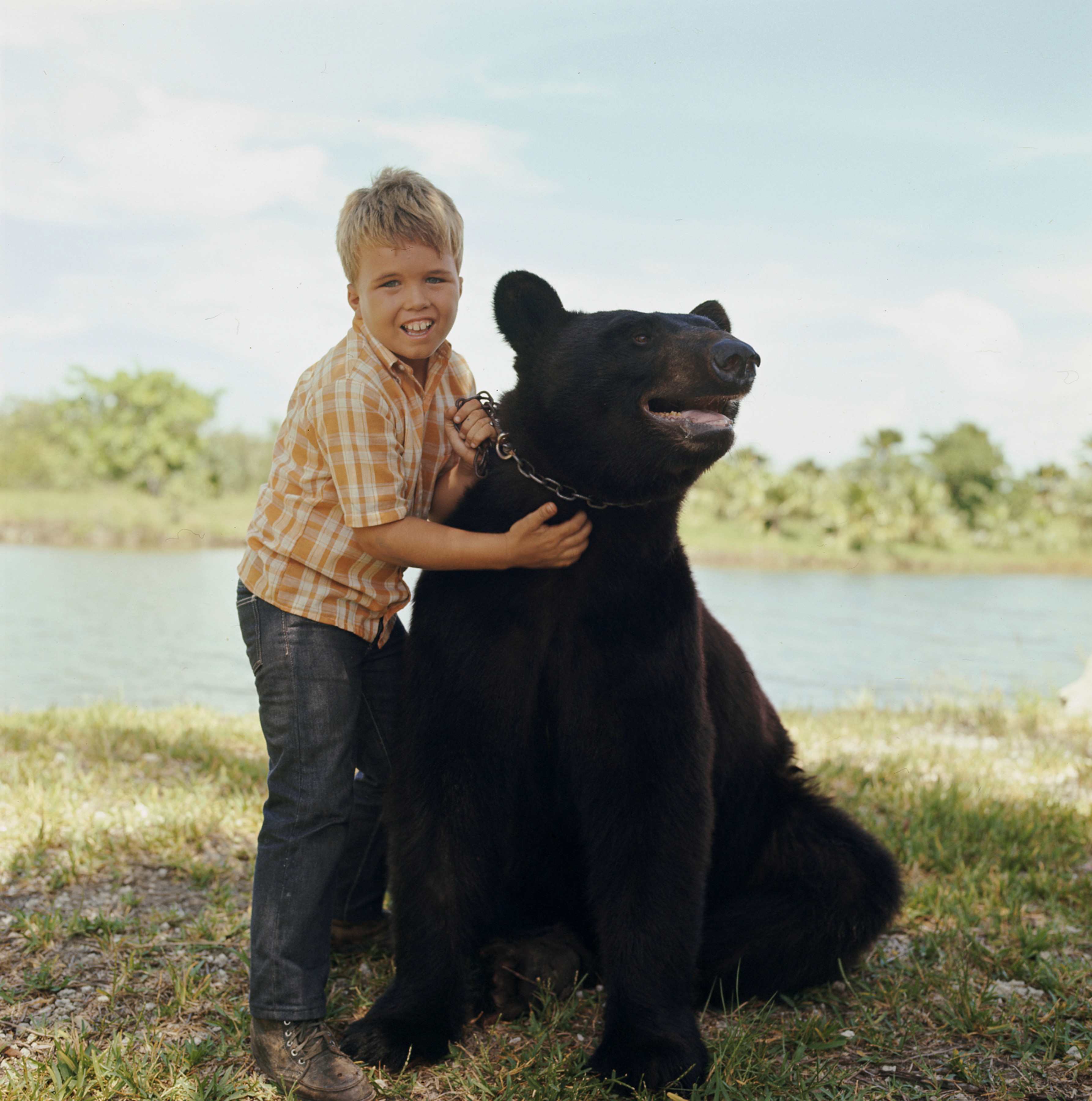 Clint Howard and Bruno the Bear in Gentle Ben (1967)