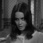 Sharon Hugueny in The Caretakers (1963)