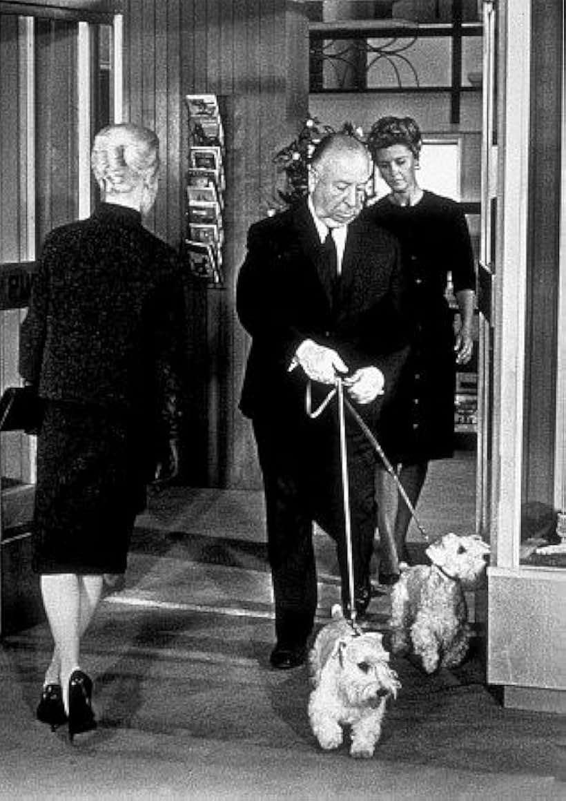 "The Birds," Tippi Hedren, Alfred Hitchcock (Cameo Appearance) 1963 Universal