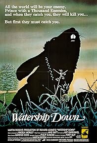 Primary photo for Watership Down