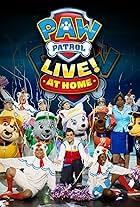 PAW Patrol Live! at Home