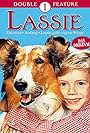 Lassie: A New Beginning (1978)